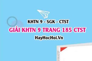 Giải KHTN 9 trang 185 Chân trời sáng tạo SGK